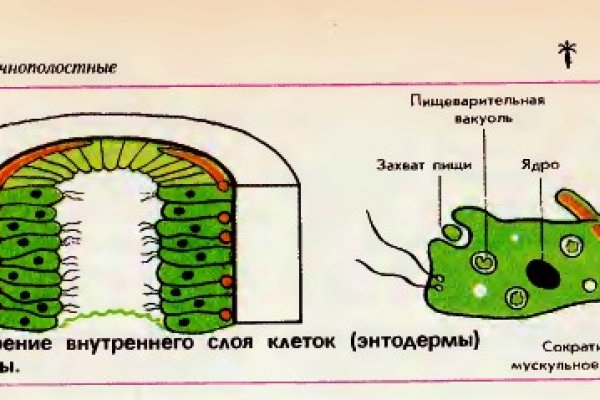Кракен даркнет вход