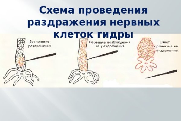 Kraken зеркало kraken link top